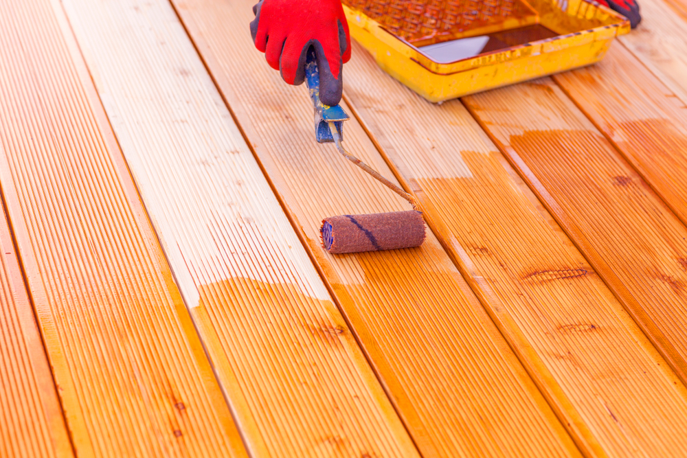 Paints & Waterproofing